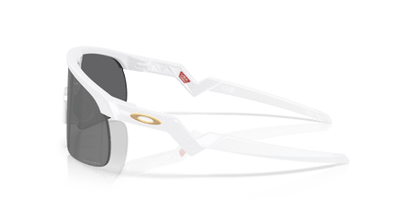 283370294.png