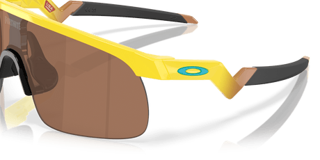 283370305.png