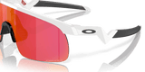 283370335.png
