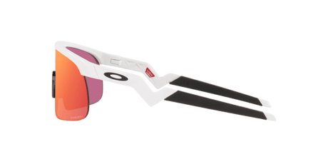283370337.png