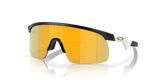 283370339.png