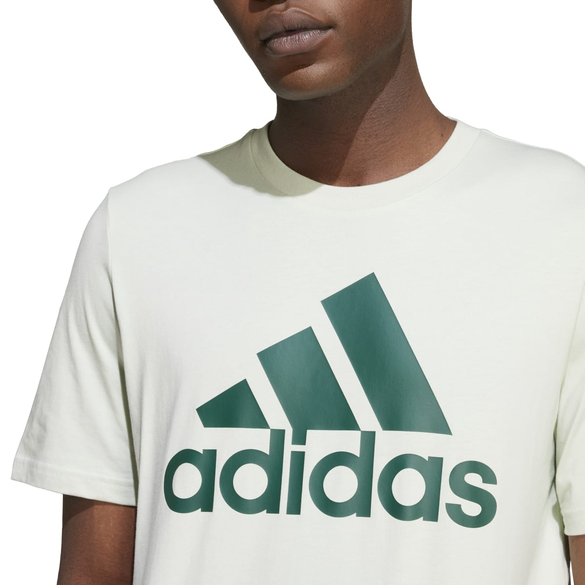 283415156.jpg