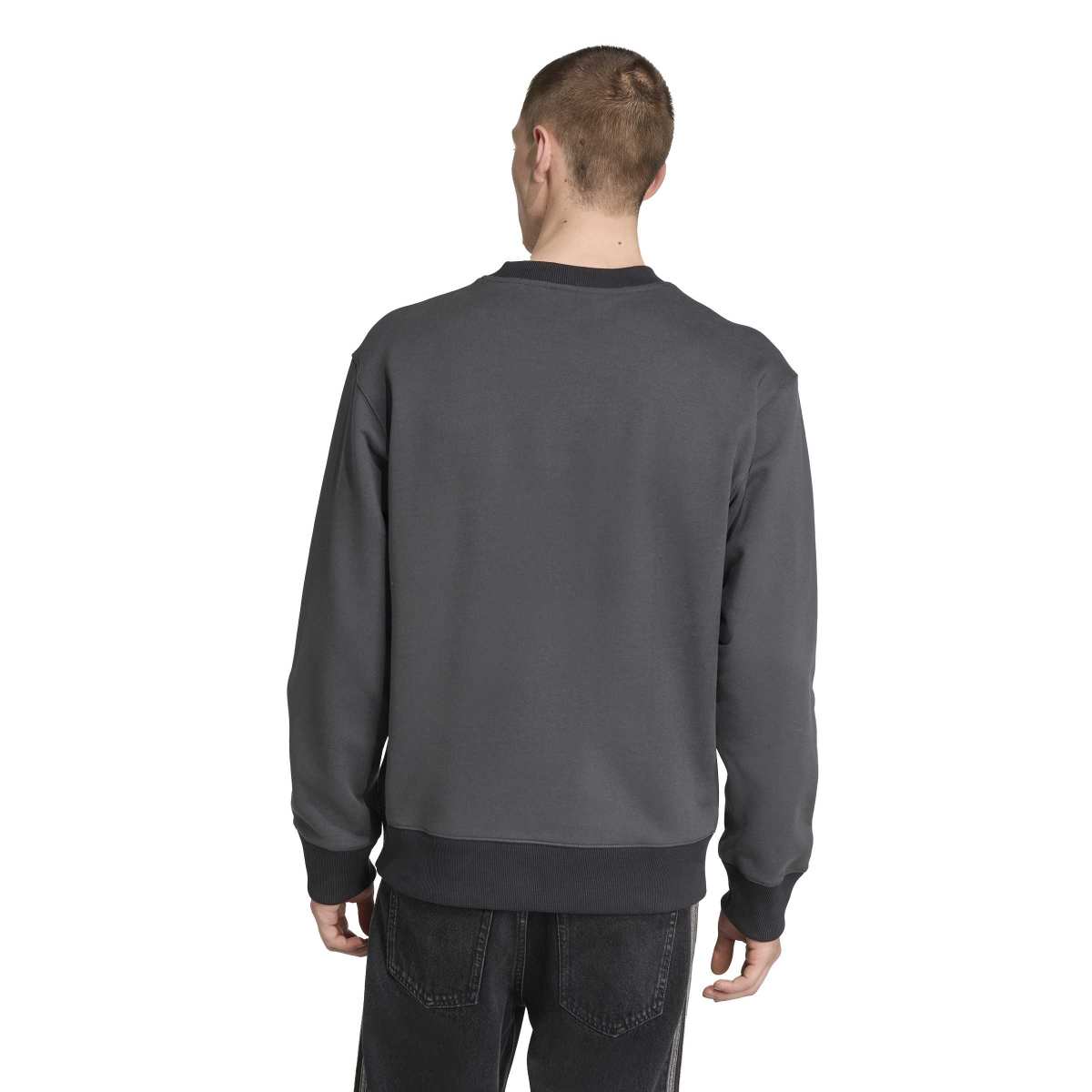adidas Men's Liverpool Fc Lfstlr Crew-3
