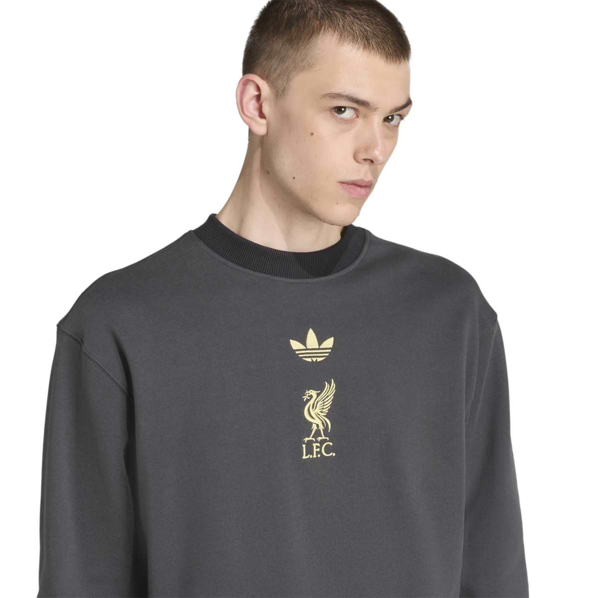 adidas Men's Liverpool Fc Lfstlr Crew-6