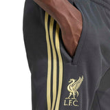 adidas Men's Liverpool FC LFSTLR Track Pants-5