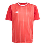 adidas Youth Entrada 26 Graphic Soccer Jersey-1