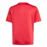 adidas Youth Entrada 26 Graphic Soccer Jersey-12