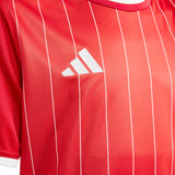 adidas Youth Entrada 26 Graphic Soccer Jersey-13