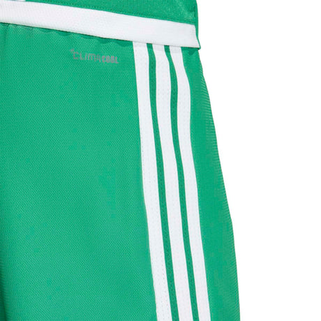 adidas Men's Tiro26 Competition Match Day Shorts-4