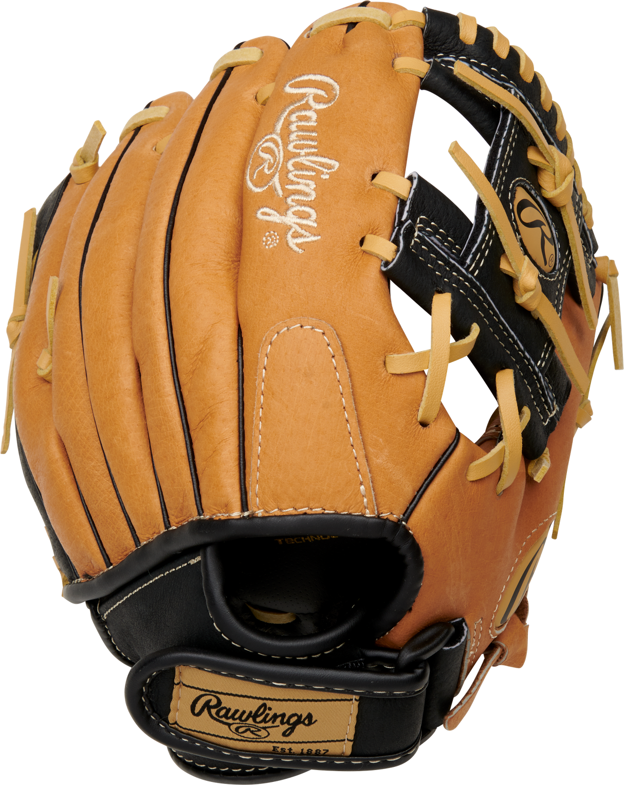 Rawlings Sure Catch Baseball Glove,
