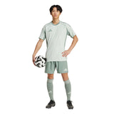 287805353.webp