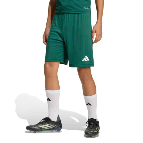 adidas Youth Entrada26 Soccer Shorts-1