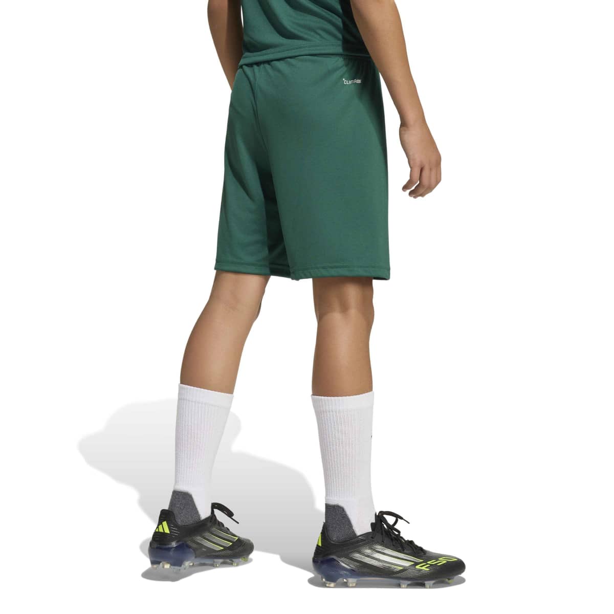 adidas Youth Entrada26 Soccer Shorts-2