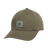 291633120.png