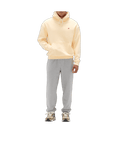 293187019.png