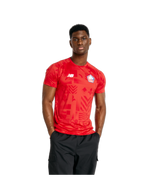 New Balance Men's Lille LOSC Match Jersey