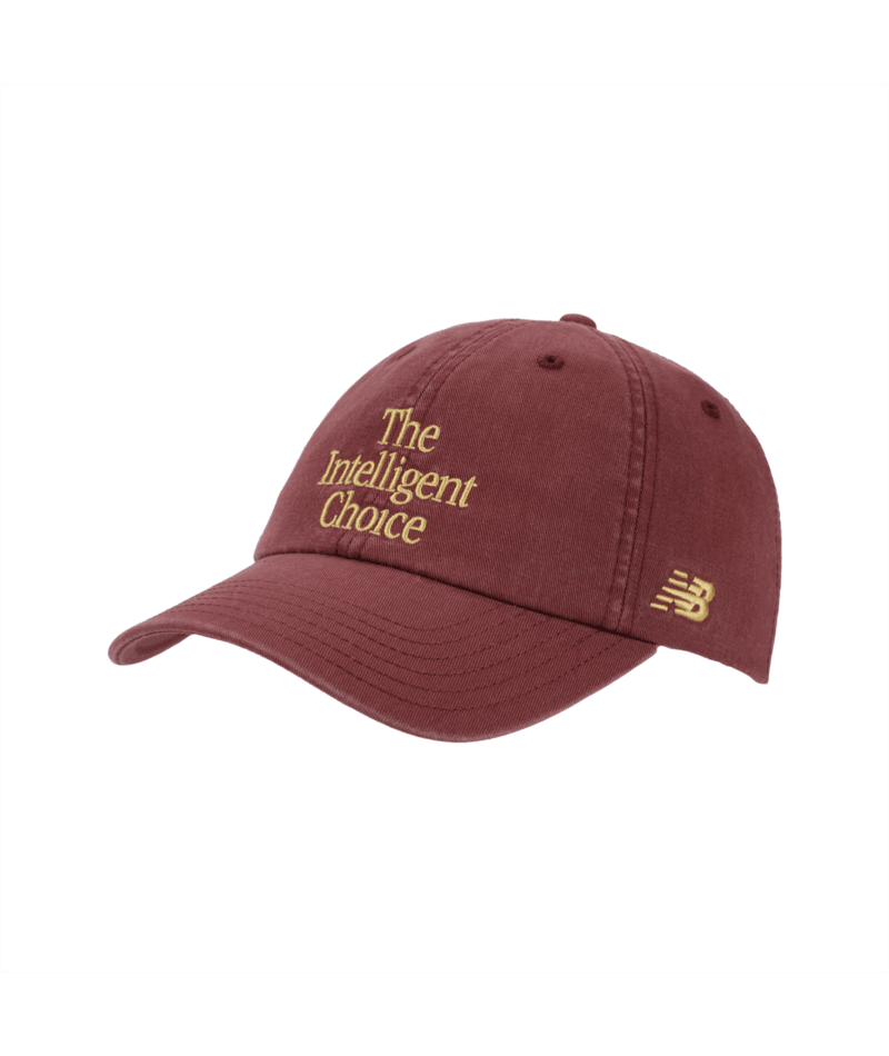 New Balance 6 Panel The Intelligent Choice Hat-2