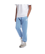 New Balance Youth Brush Back Small Logo Jogger-1