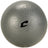 Champro Cast Iron Shot Put