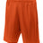 A4 Men's Lined Tricot Mesh Shorts-1