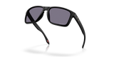 Oakley Holbrook XXL Glasses-5