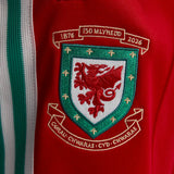 adidas Men's Wales 150 Years Anniversary Track Pants-7