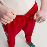 adidas Men's Wales 150 Years Anniversary Track Pants-9