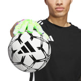 298619755.webp