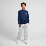 New Balance Boys' Stadium Concession Graphic French Terry Crew-6