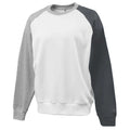 Pennant Men's Colorblock Fleece Crew