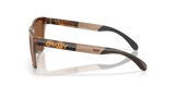 Oakley Frogskins Range XL Glasses-3