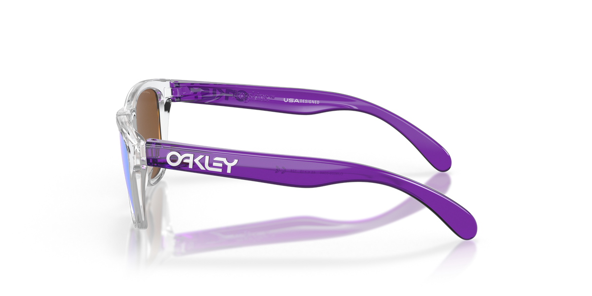 Oakley Frogskins XXS Glasses-4