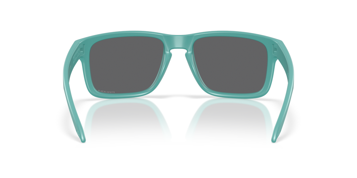 Oakley Holbrook A Glasses-4