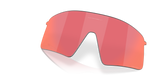 Oakley Stunt Wing Replacement Lenses