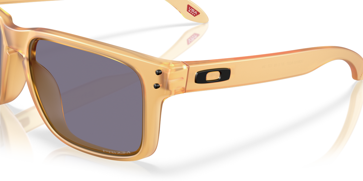 Oakley Holbrook Glasses-6