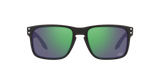 Oakley Holbrook NFL Glasses-3