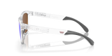Oakley Frogskins Range Glasses-3