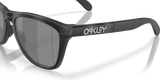 Oakley Frogskins Range XL Glasses-6