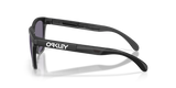 Oakley Frogskins Range XL Glasses-3