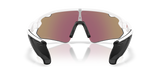 Oakley Stunt Devil A Sunglasses-4