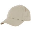 Champro Dad Cap-1