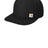 Carhartt     Ashland Cap