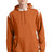 Sport-Tek Men's   Pullover Hooded Sweatshirt with Contrast Color