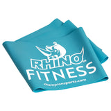 Champion Sports Resistance Therapy/Exercise Flat Band