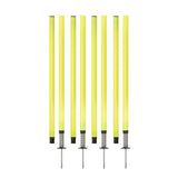 Champion Sports Outdoor Agility Pole Set