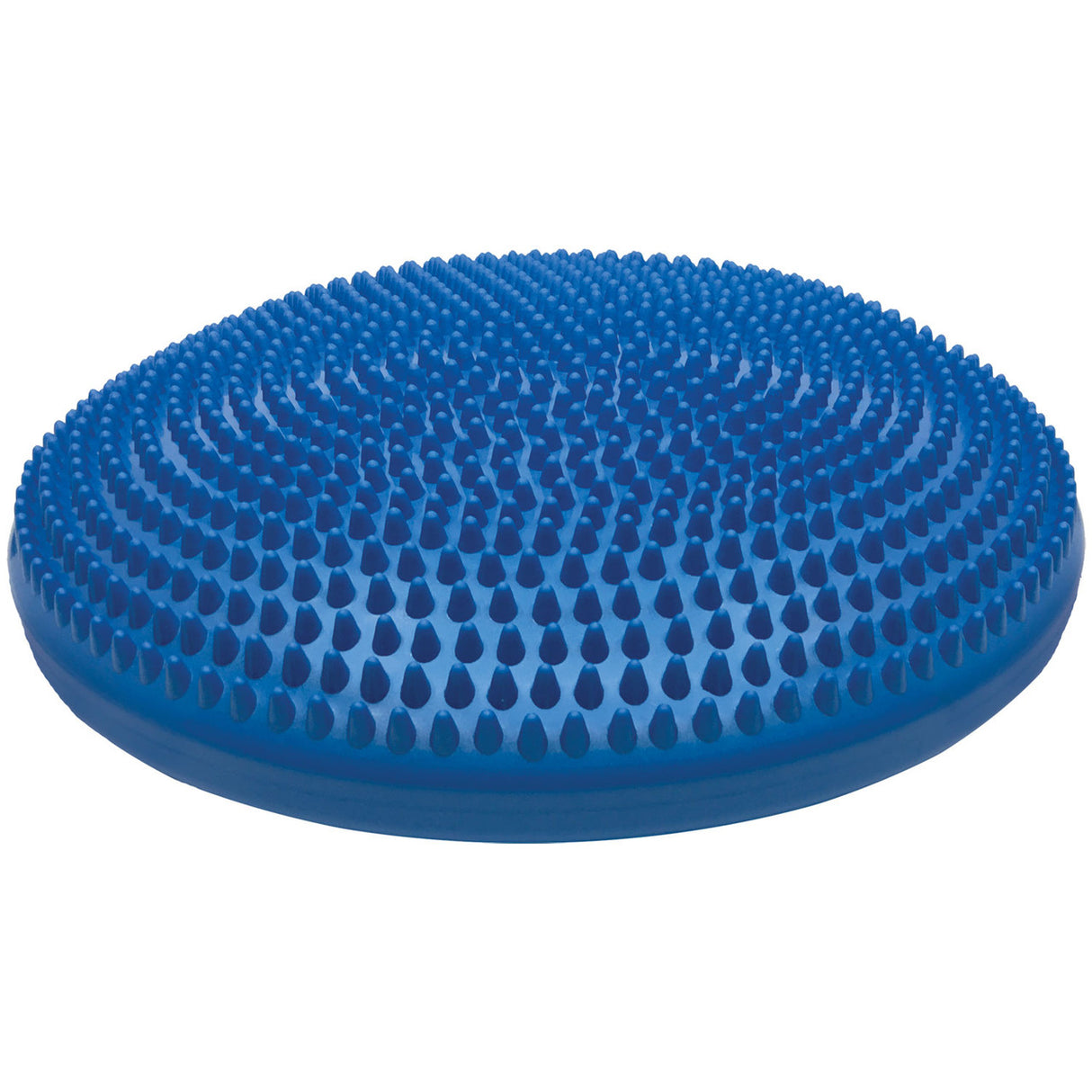 Champion Sports 14 Inch Exercise Disc