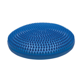 Champion Sports 14 Inch Exercise Disc