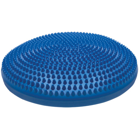 Champion Sports 14 Inch Exercise Disc