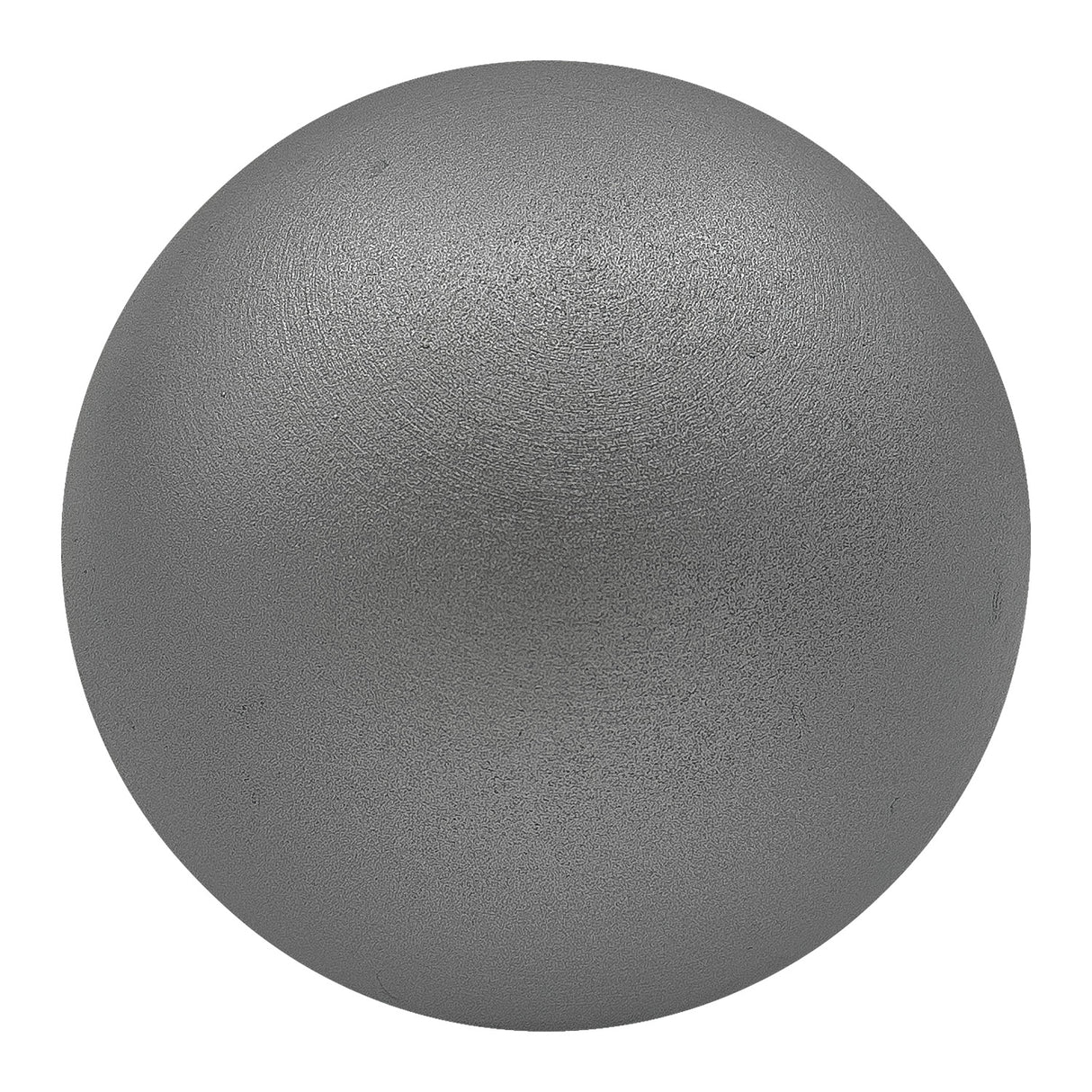 Champion Sports Iron Shot Put