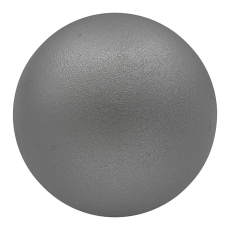 Champion Sports Iron Shot Put